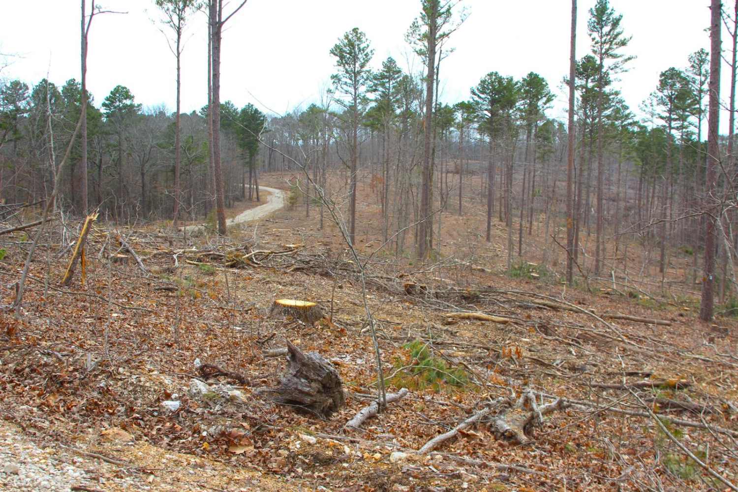 Boiling Ridge - FS 2099