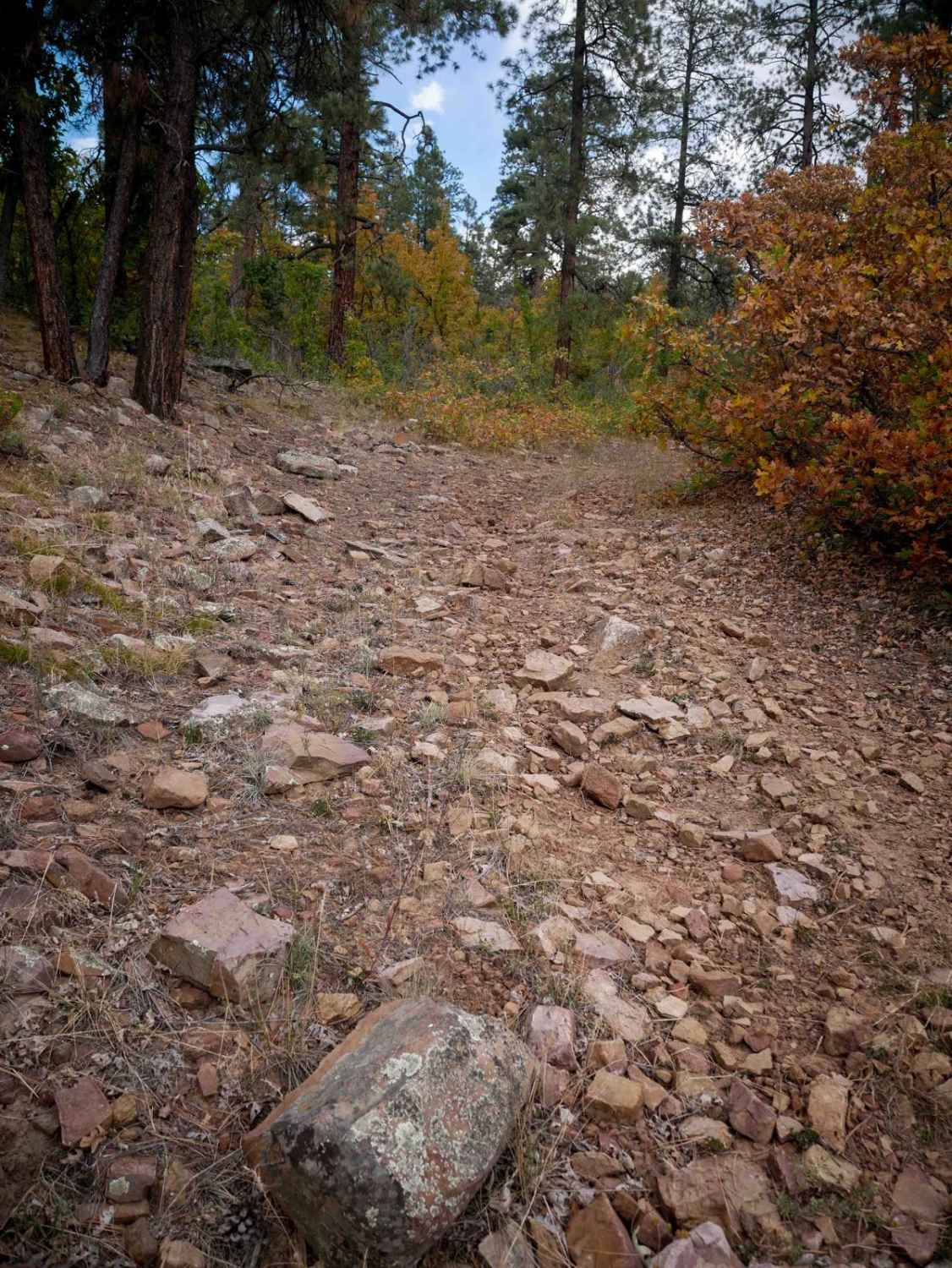 First Notch 1 