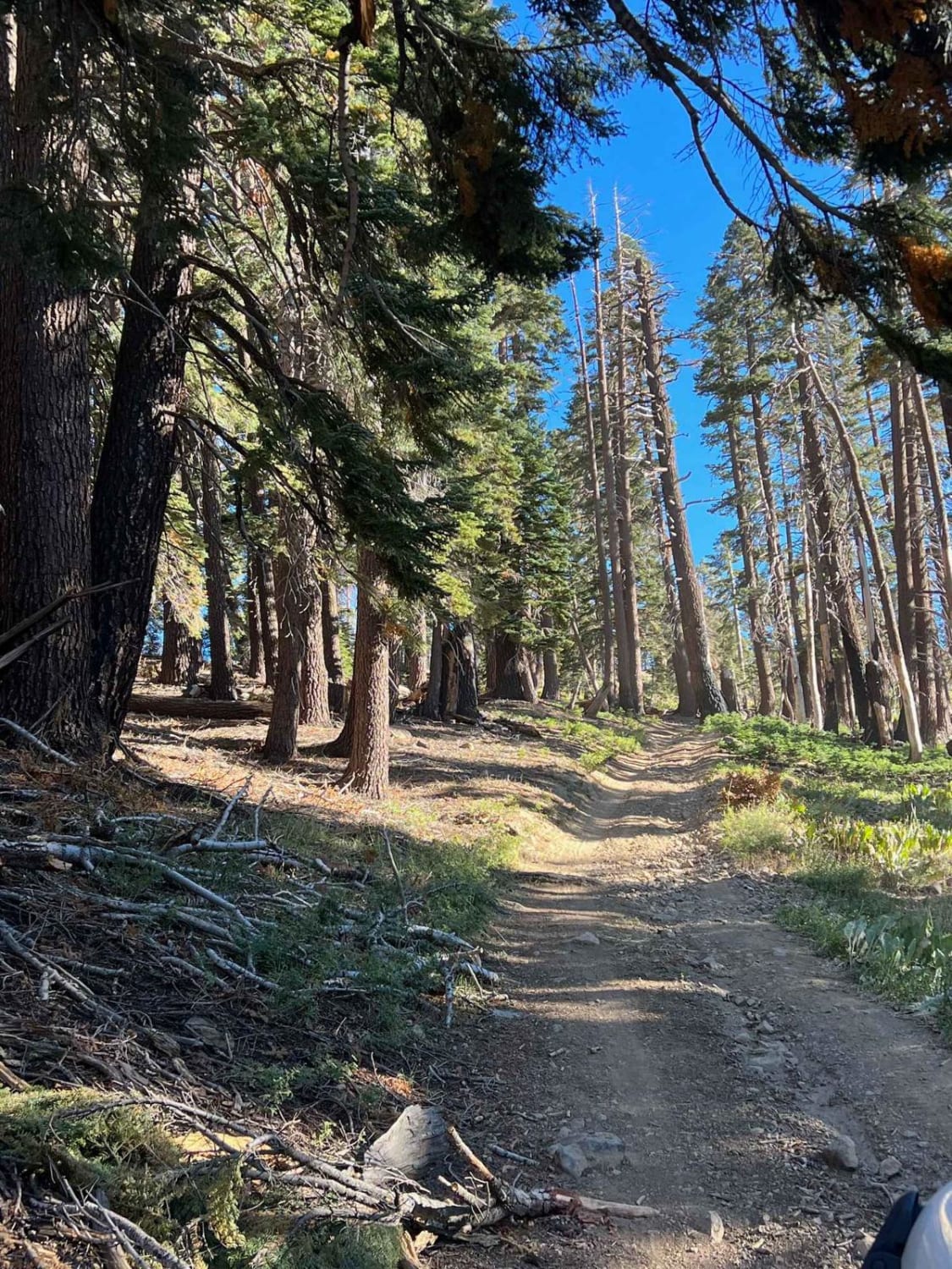 Eagle Peak 4x4 Trail