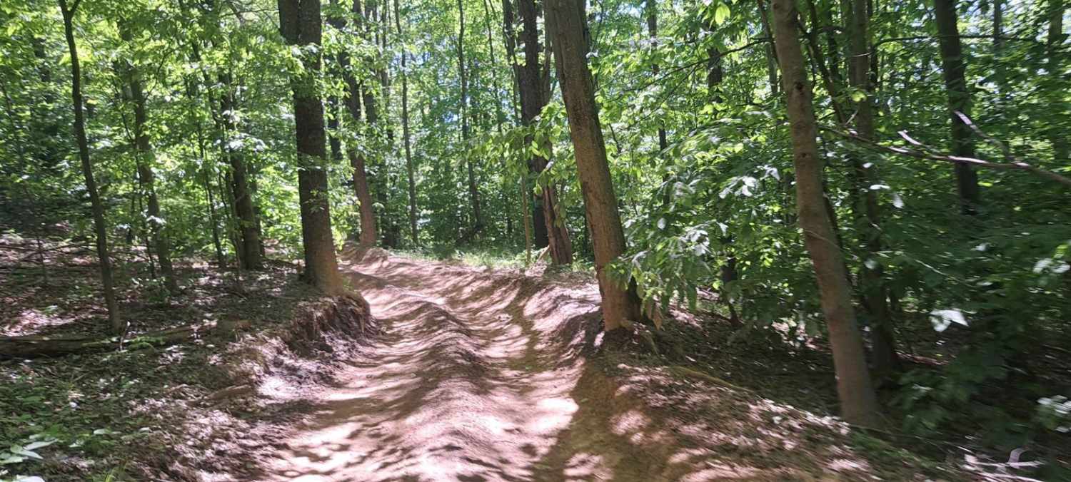 Soy Bean Path Blue