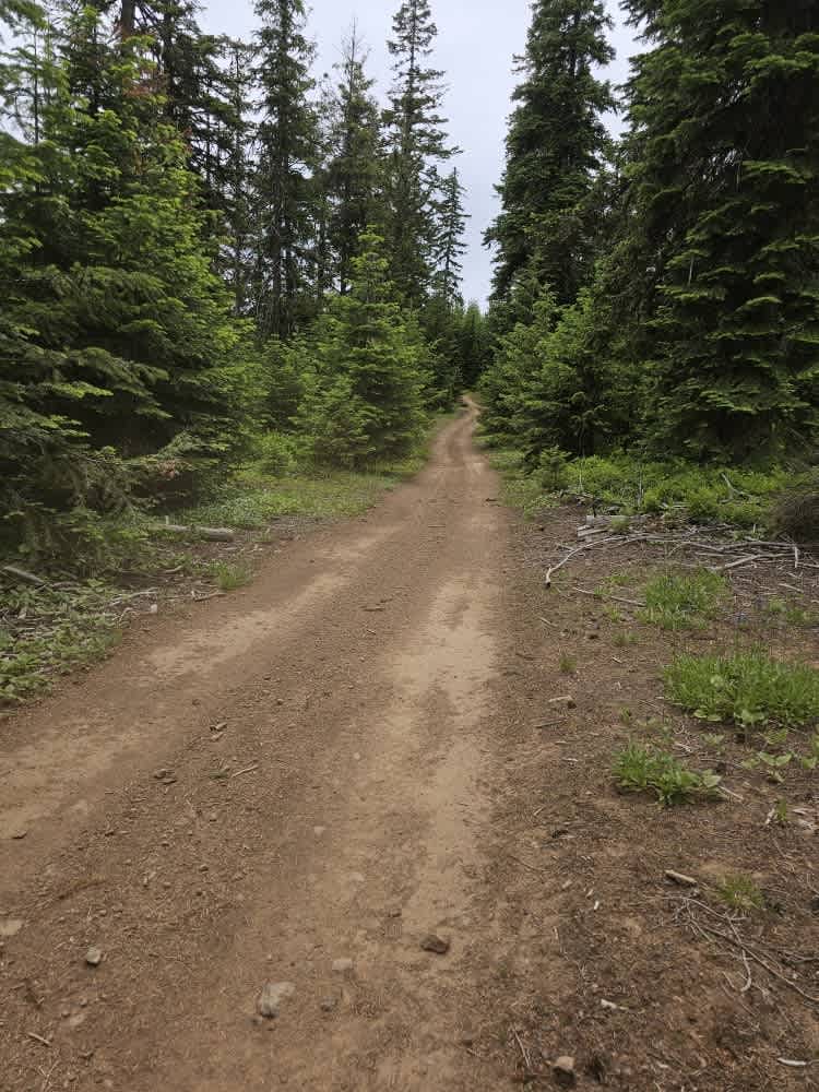 North to South Trail