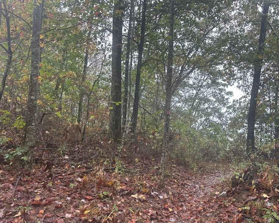 177 Single Track