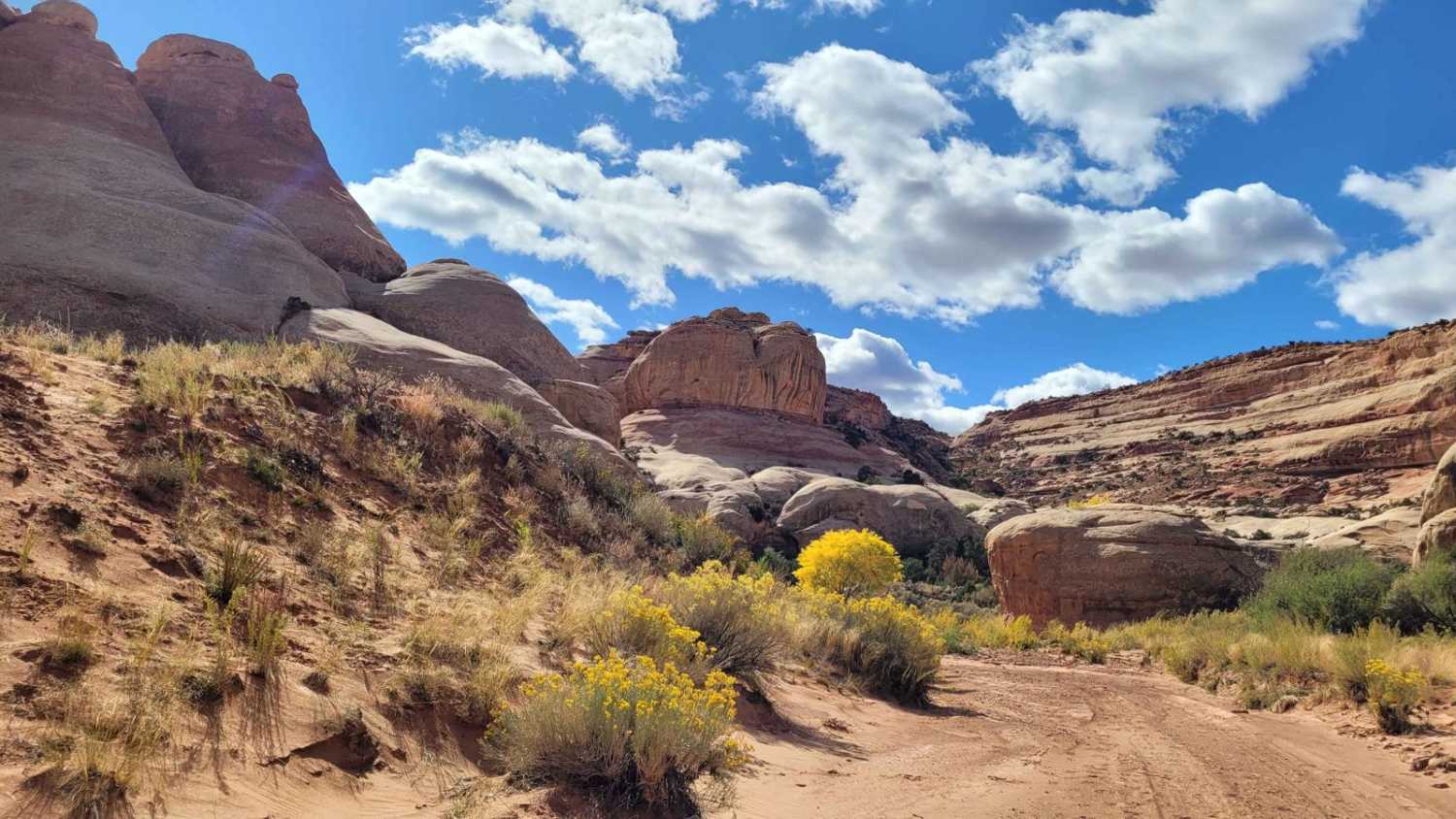 Lavender Canyon