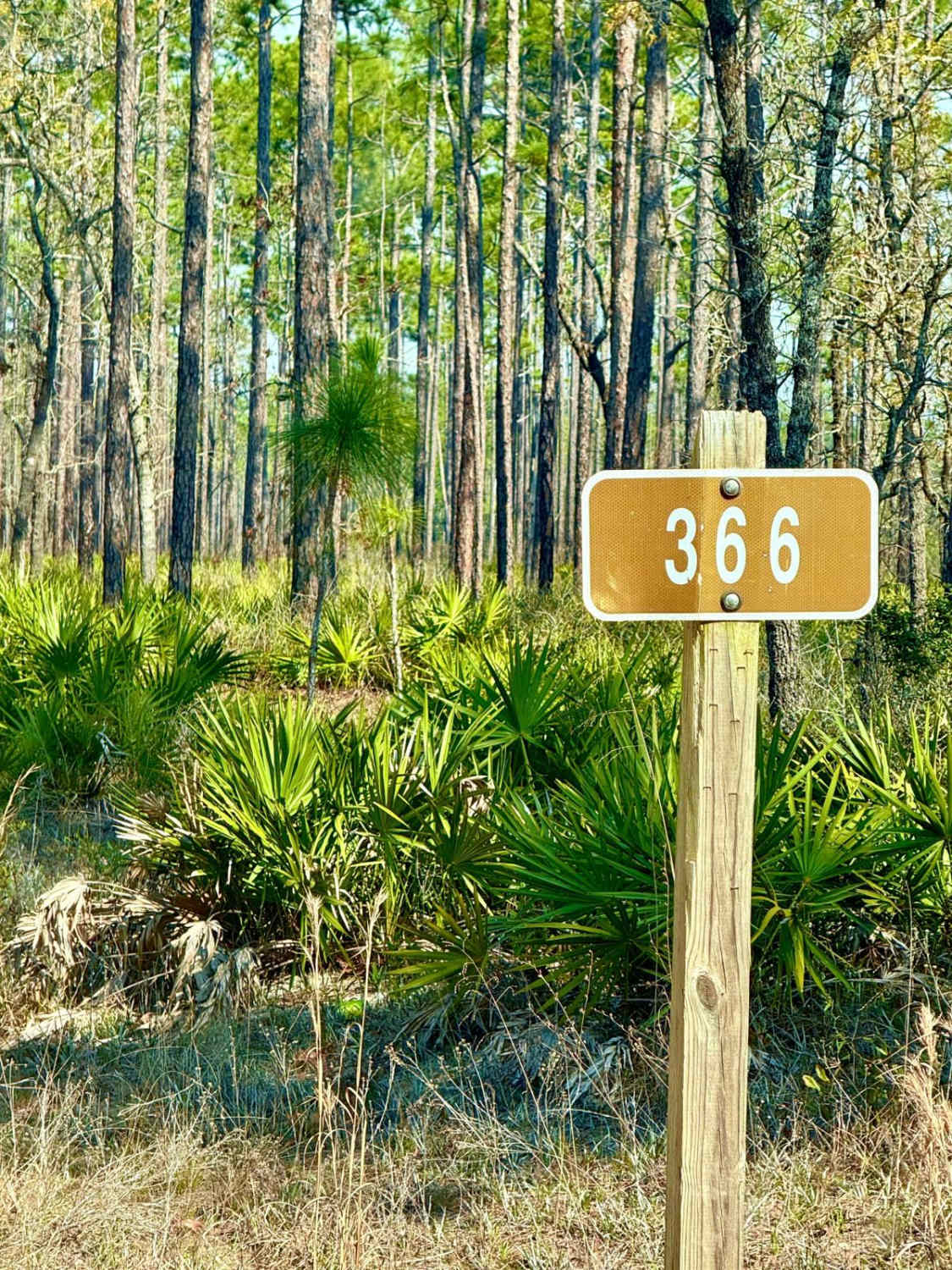 Hardpan 366