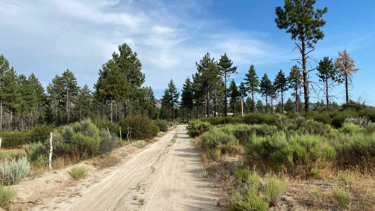 Road to Rancho Botella
