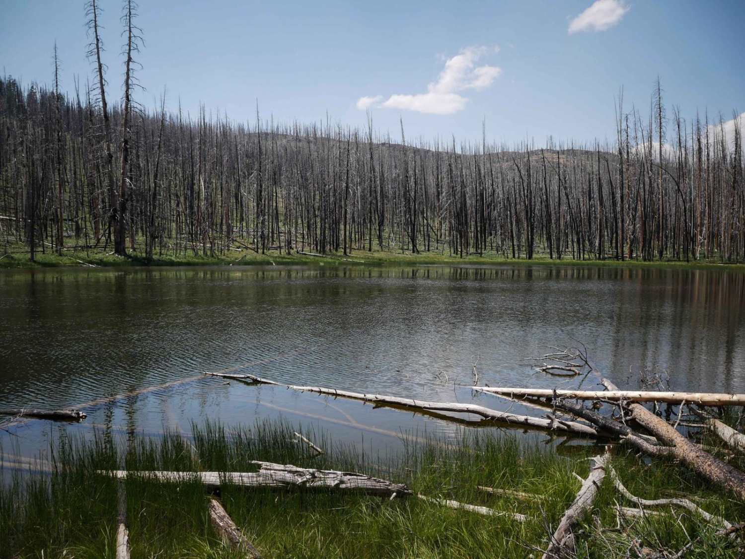 Squaw Creek  