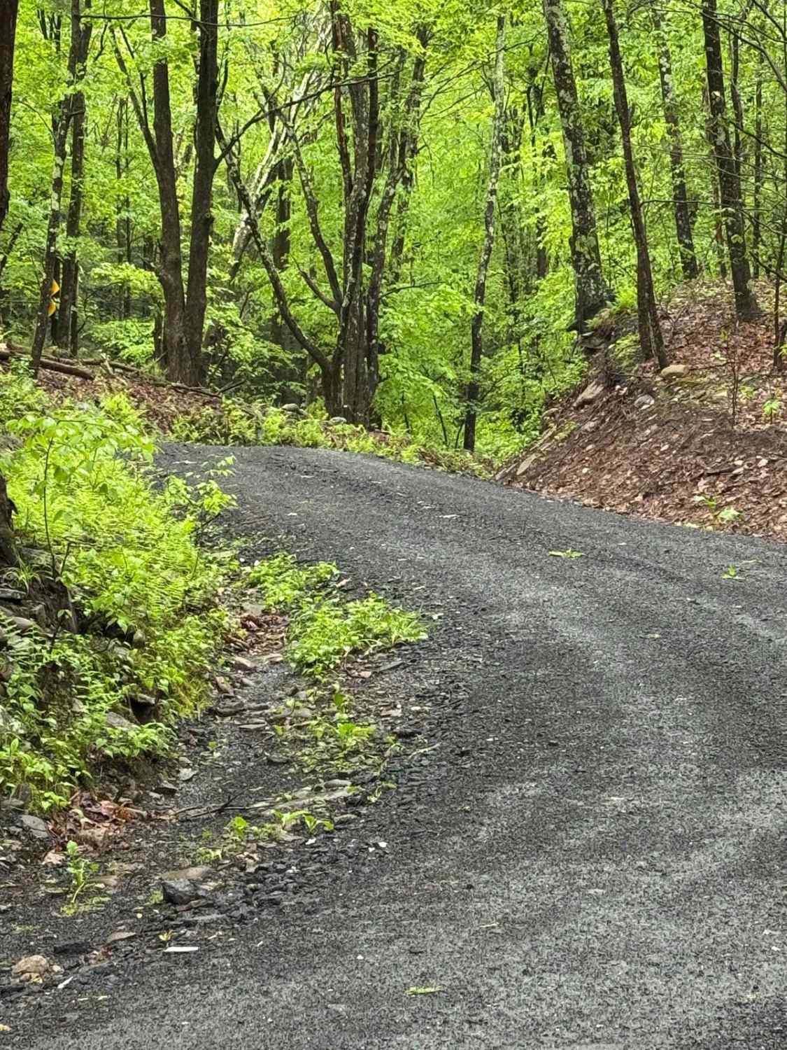 Denman Mountain Rd