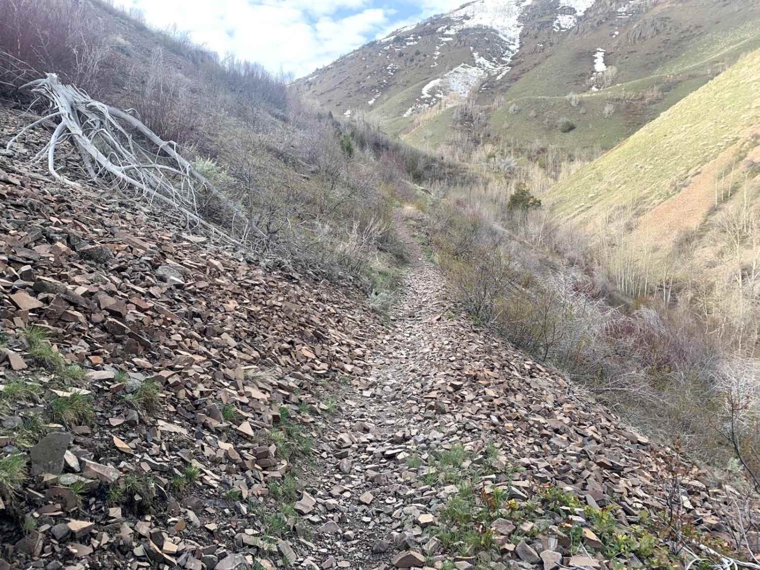 Wahlstrom Hollow Trail