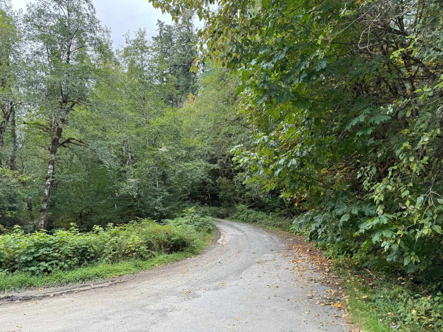 Murphy Creek