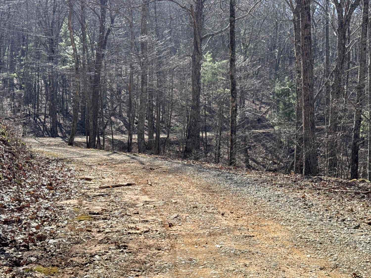 Corbin Creek - FR 698