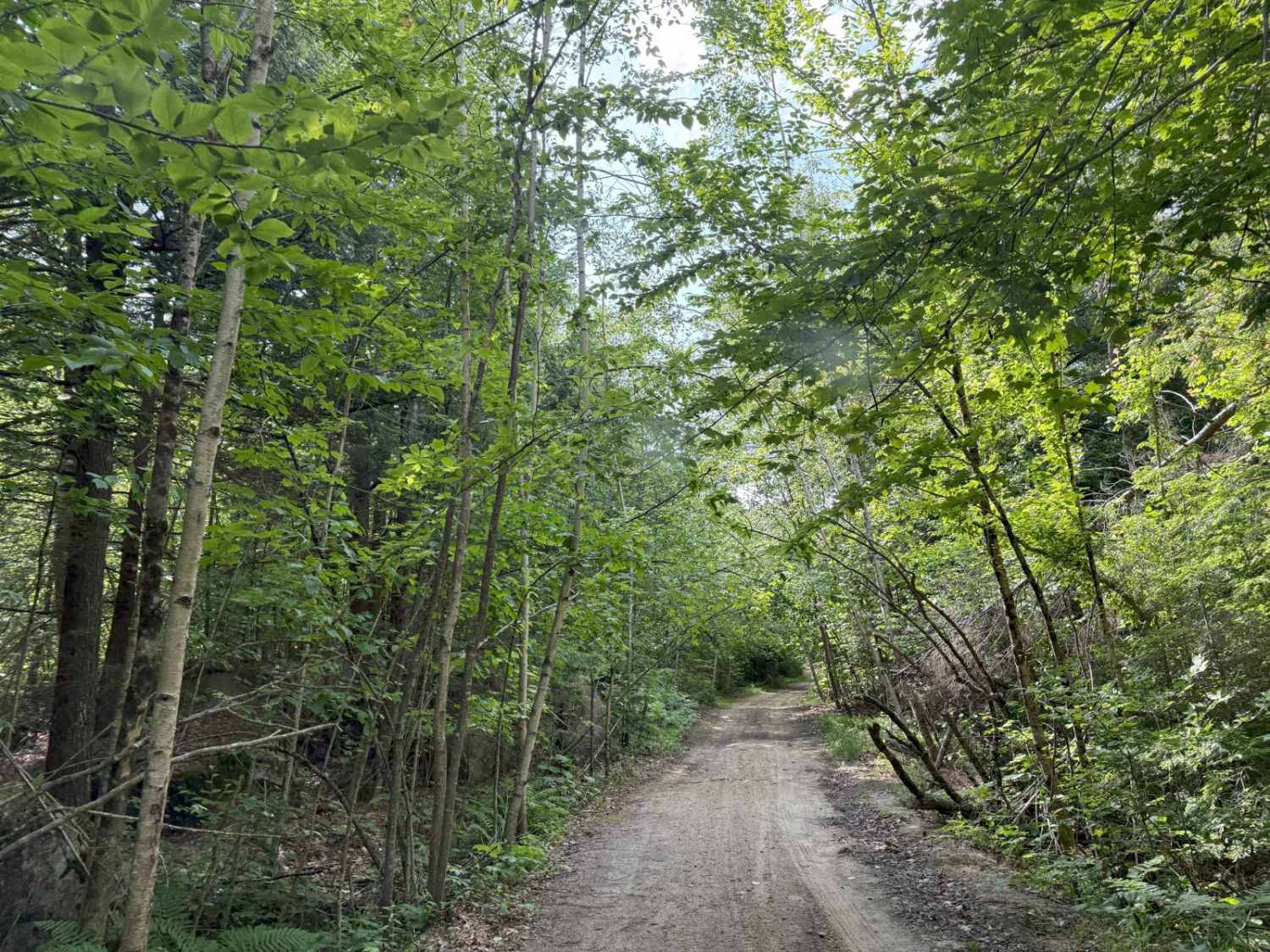 Caverly Road to Devil's Den Road