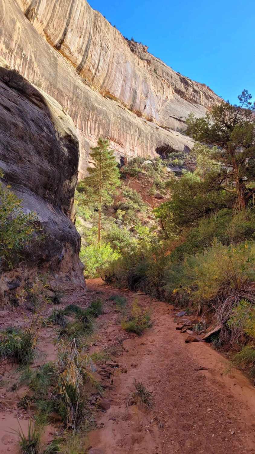 West Fork Road