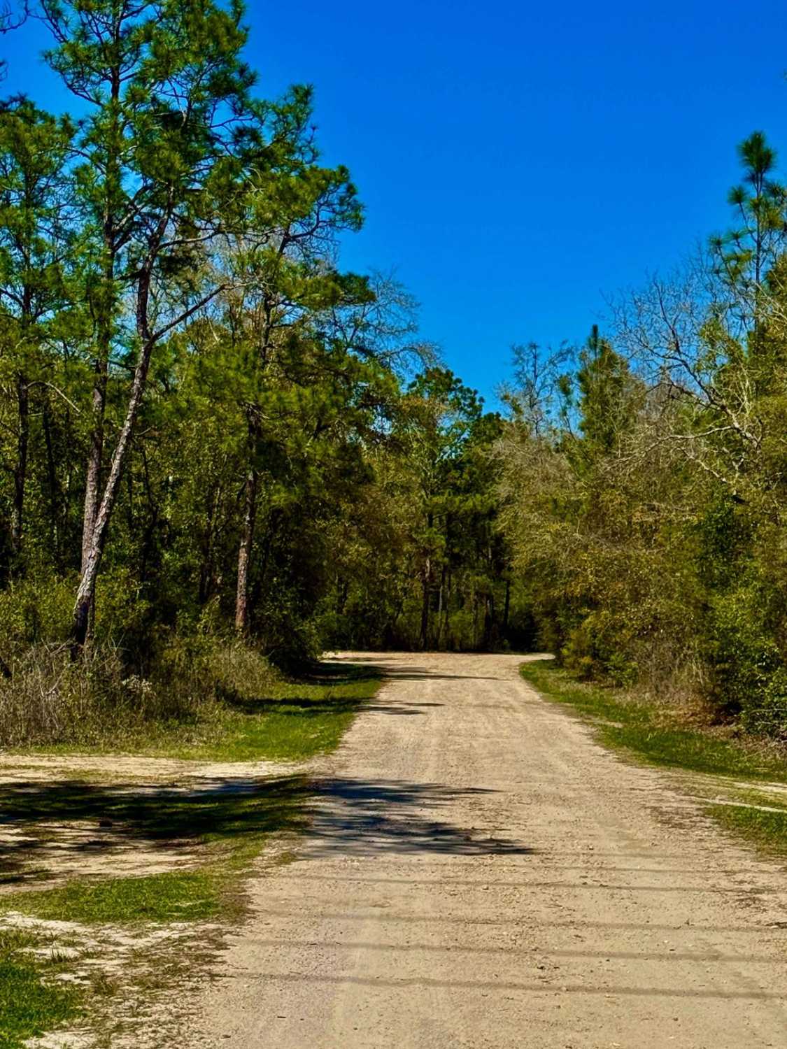 Turkey Flat Road 