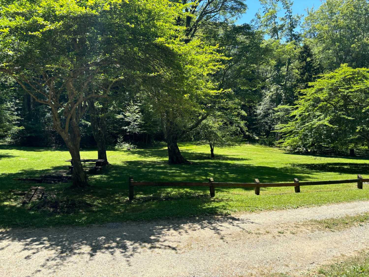 Locust Spring 