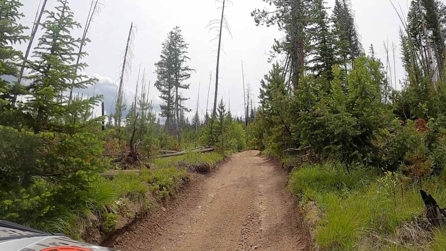 Telephone Ridge Trail #112