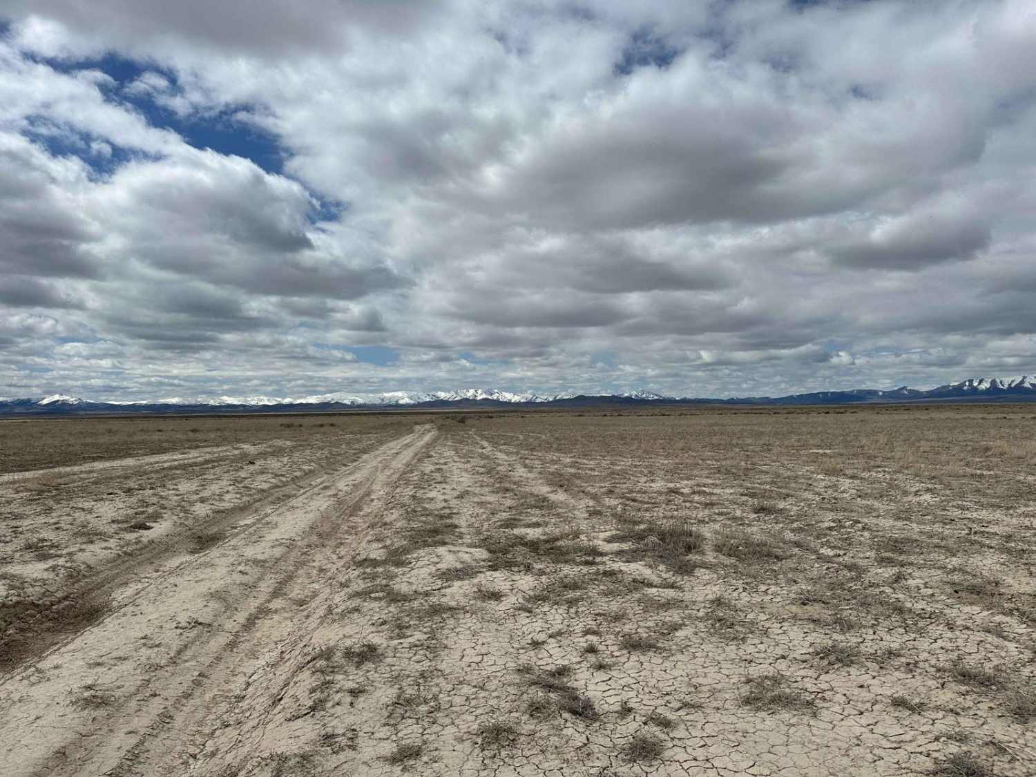 Sagebrush Sprint