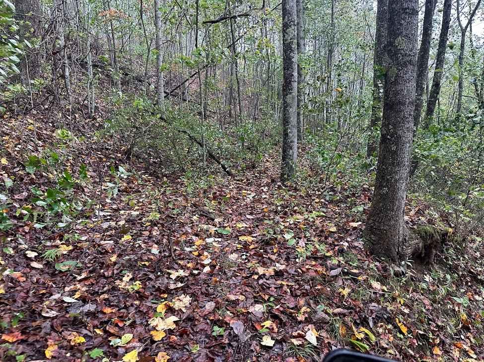 171 Single Track