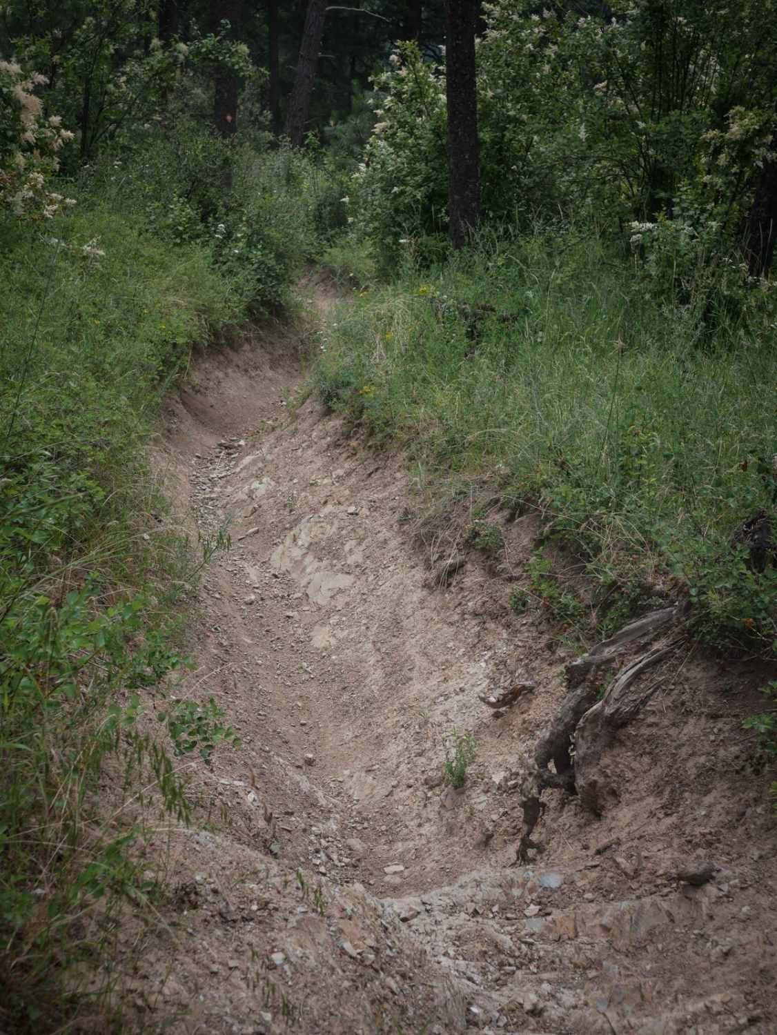 Trail 10