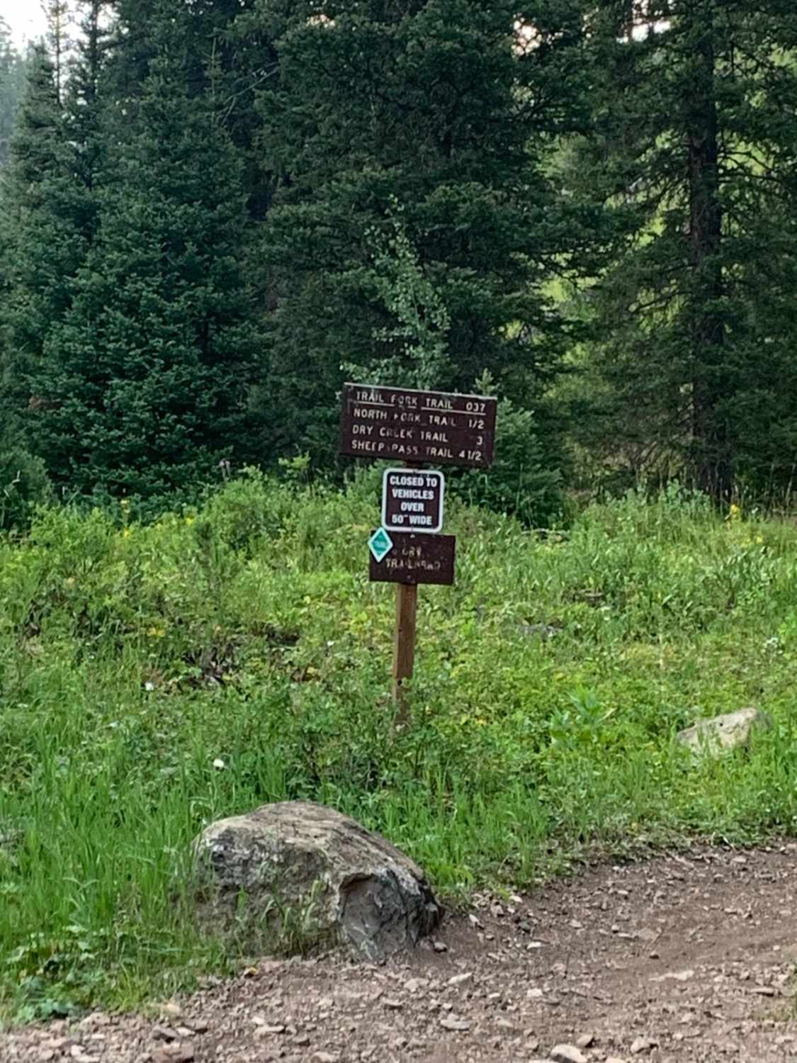 Cottonwood