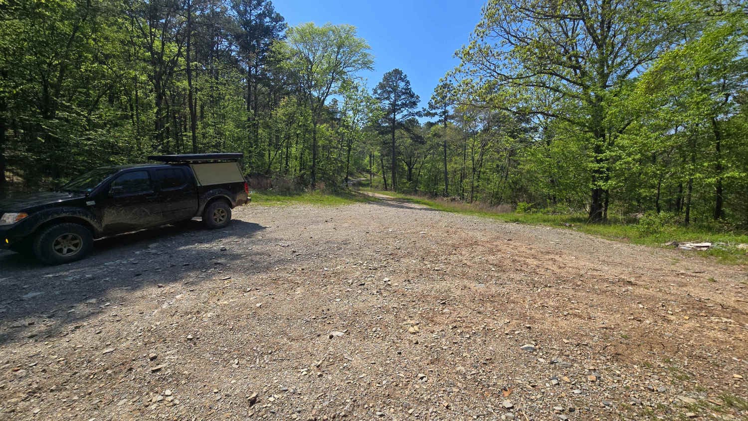 Bee Creek Trail