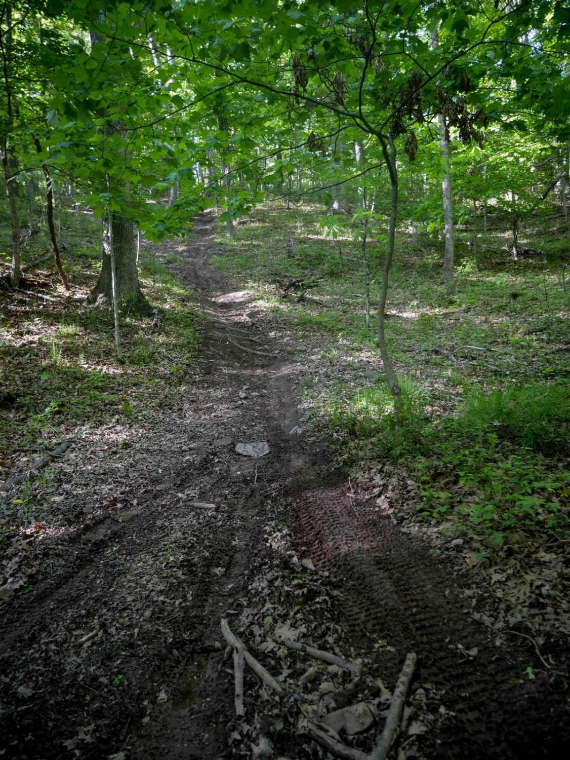 Single Track 3