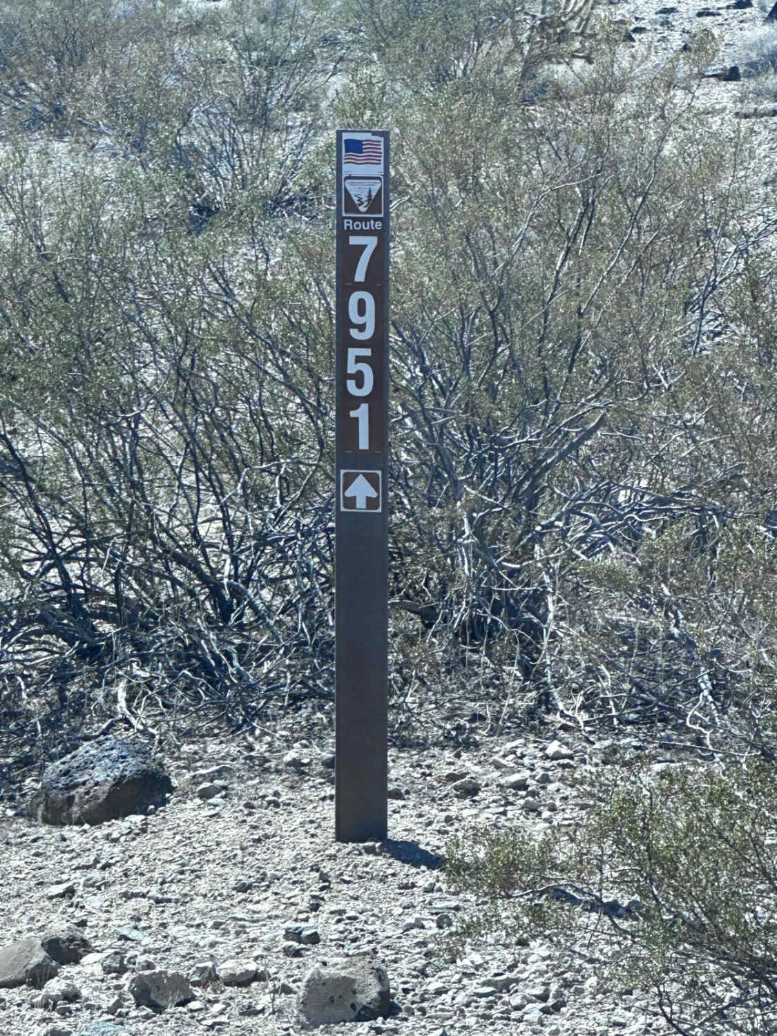 BLM Route 7951