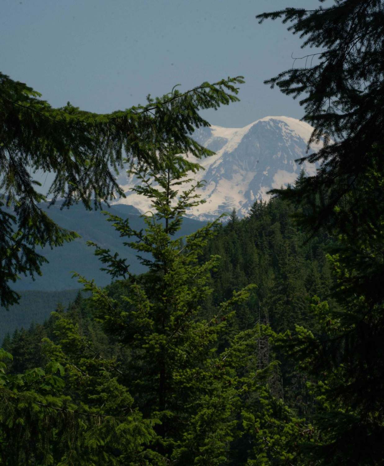Goat Creek