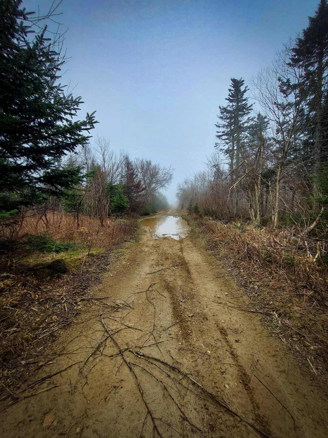 Crooked Creek Trail