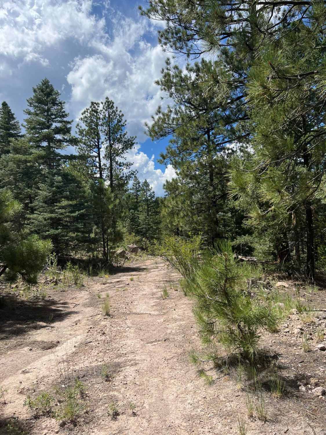 Boulder Wash - FR 451