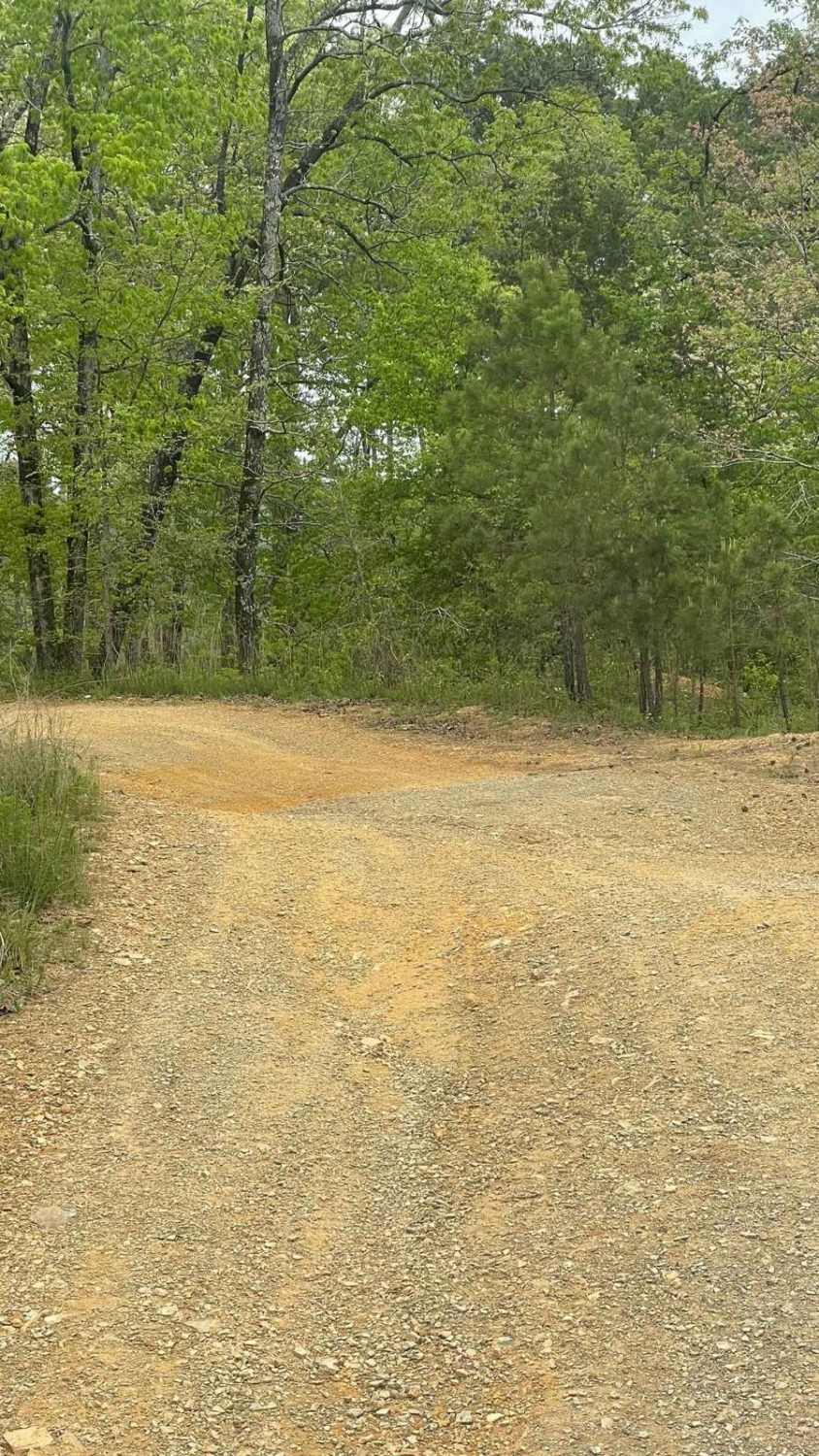 Hickory Nut Trail