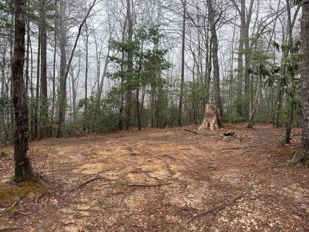 Roseboro Road - FS 981