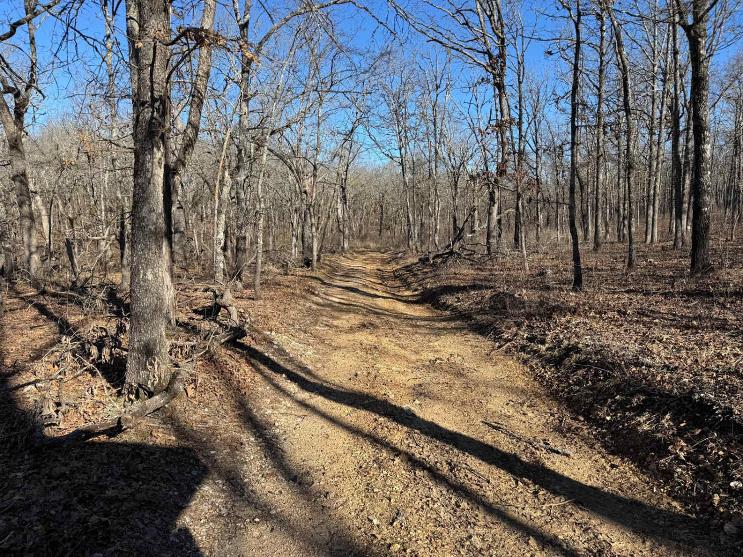 Brushy Ridge Spur A - FSR 606A