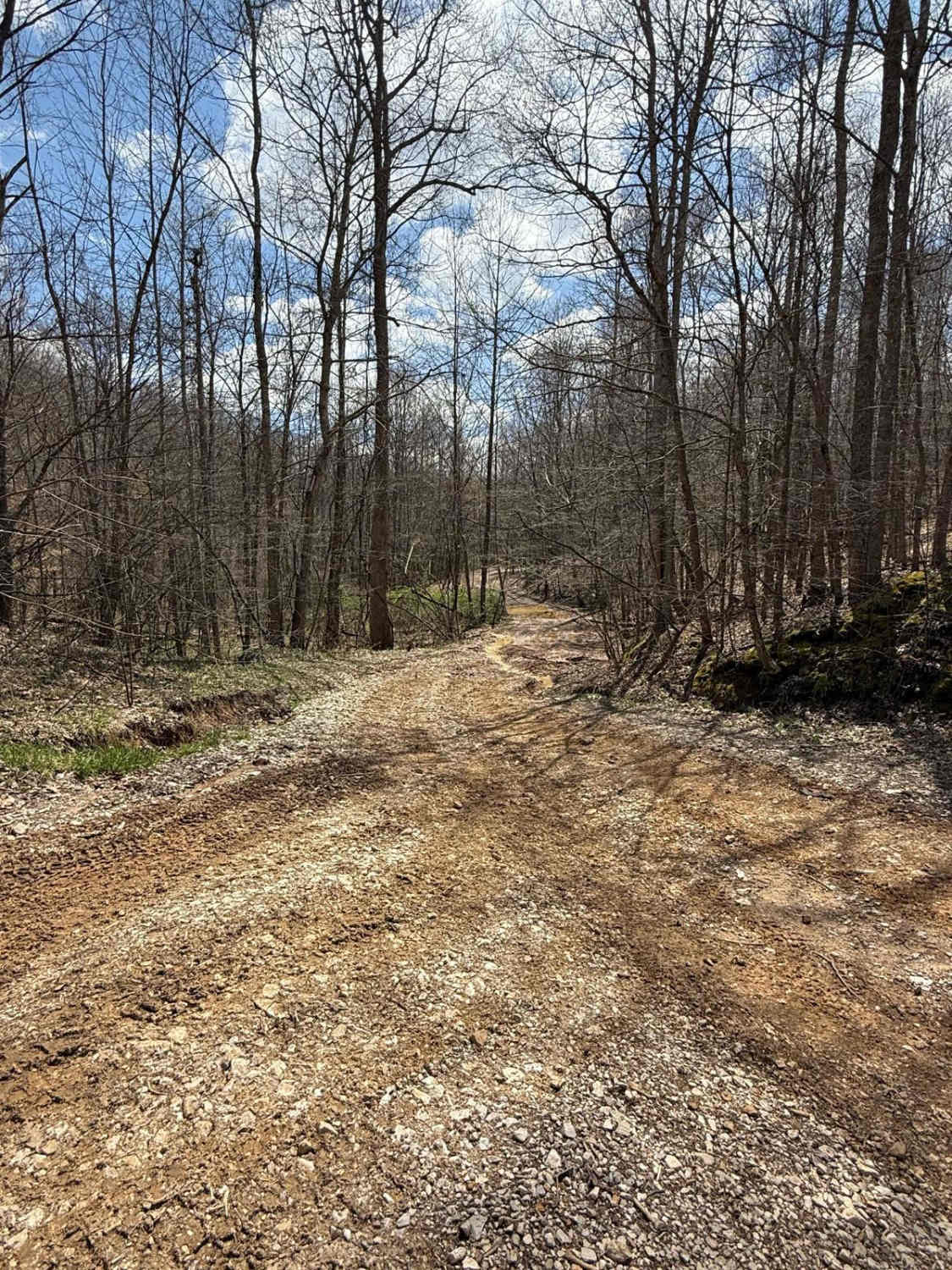 Trail 15
