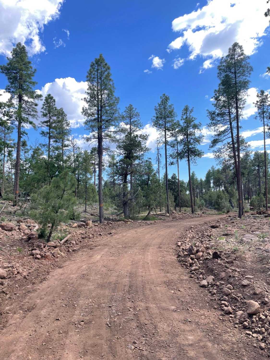 Big Bug Mesa Semi-Loop