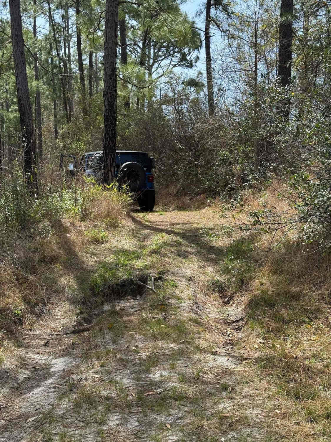 Pettiford Creek Trail 9