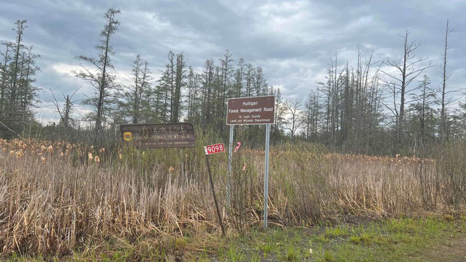 Hulligan Lake & Carol Truck Trail
