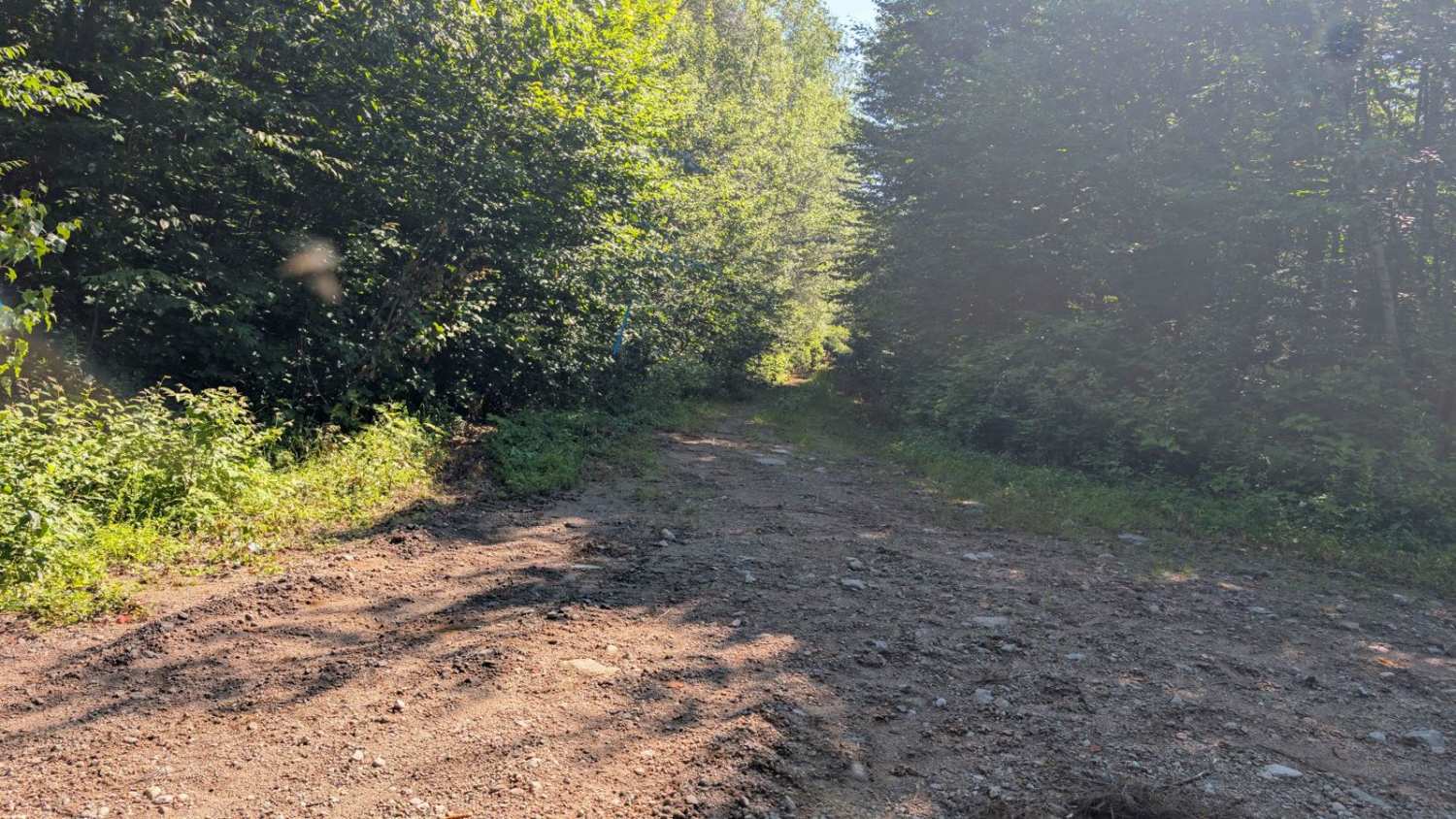 Blue Pond Road