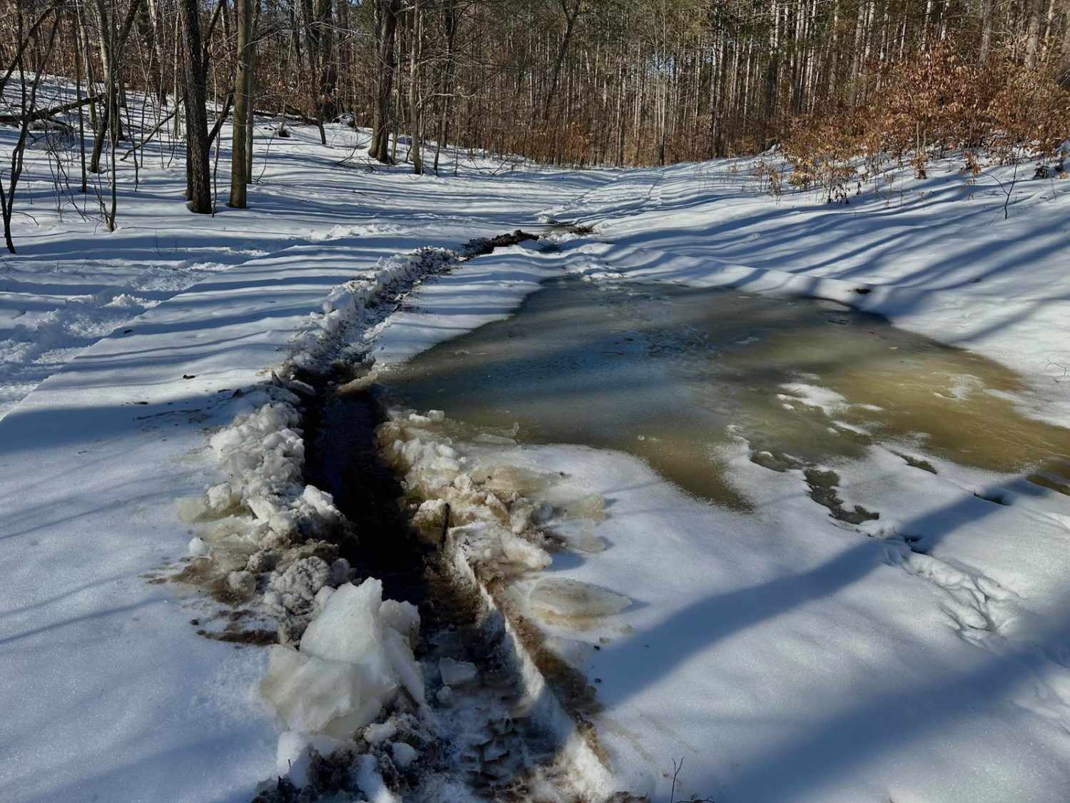 Deer Track Trail