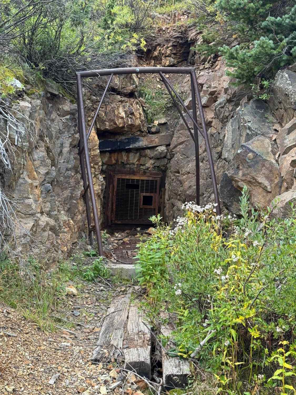 Montana Mine