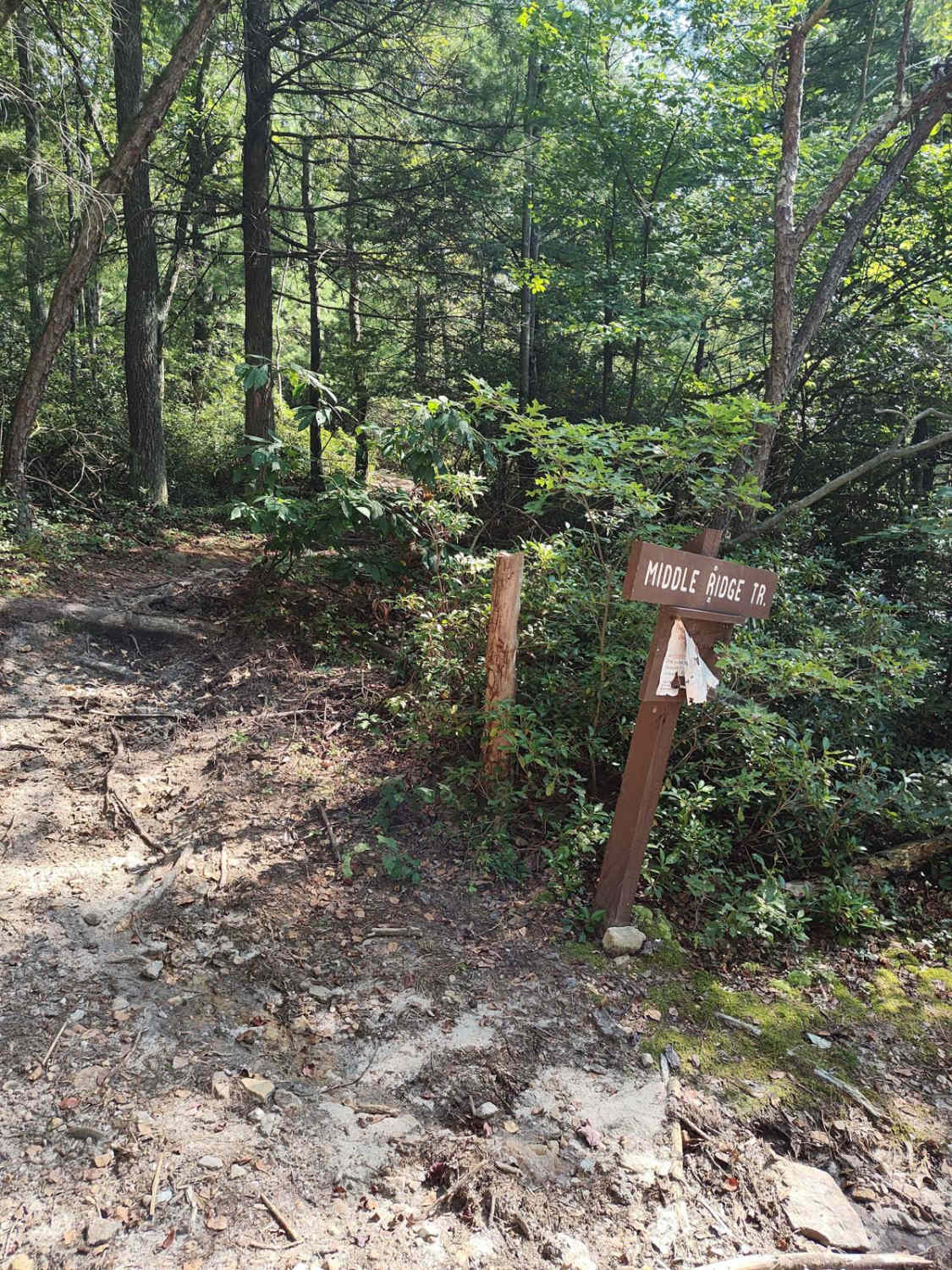 Middle Ridge Trail - Single Track