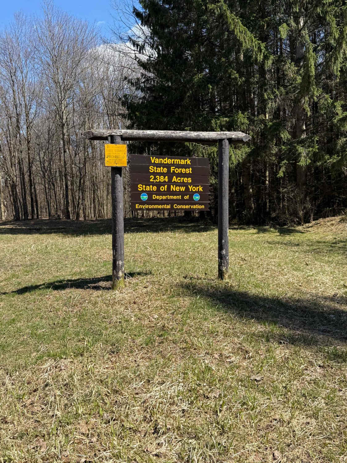 Vandermark Bird Forest Road