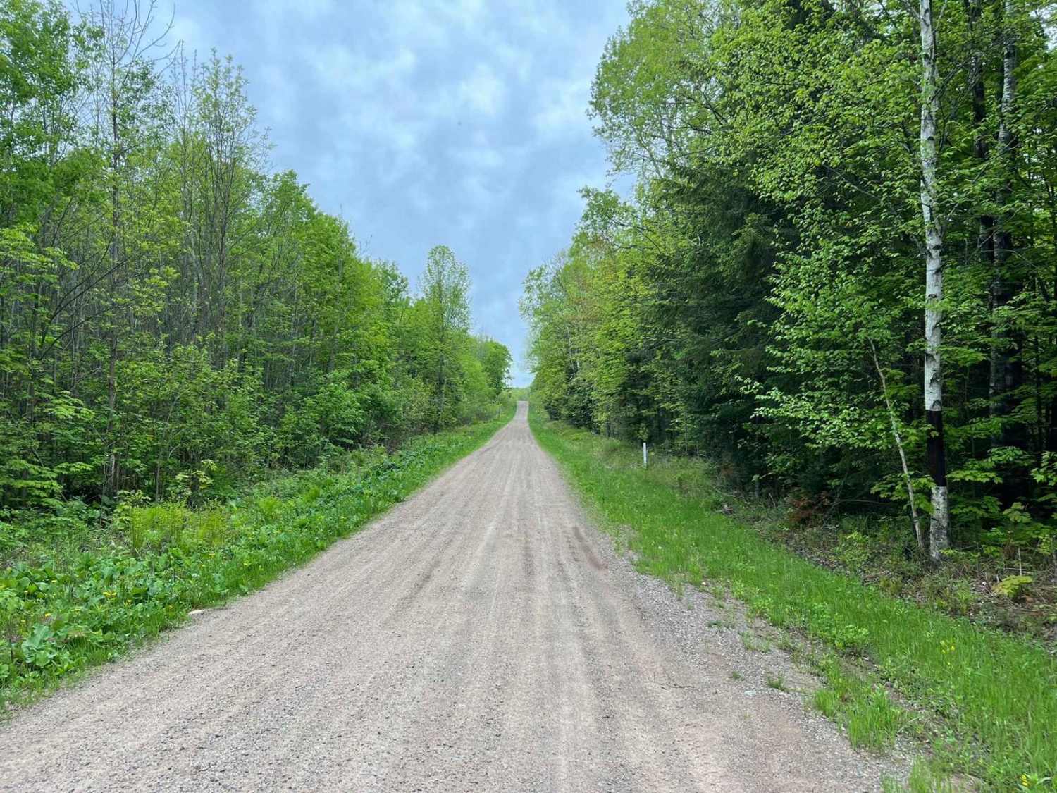 Forest Road 2183 Western Section 