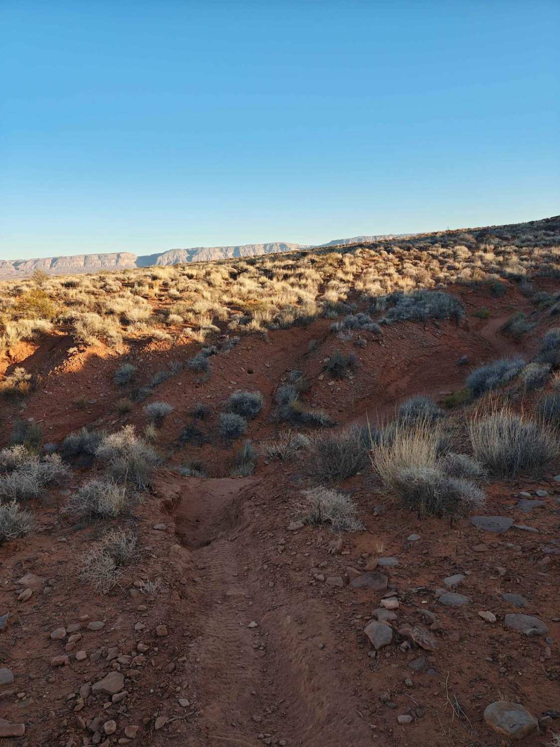 Lower Warner Ridge- Southern Portion