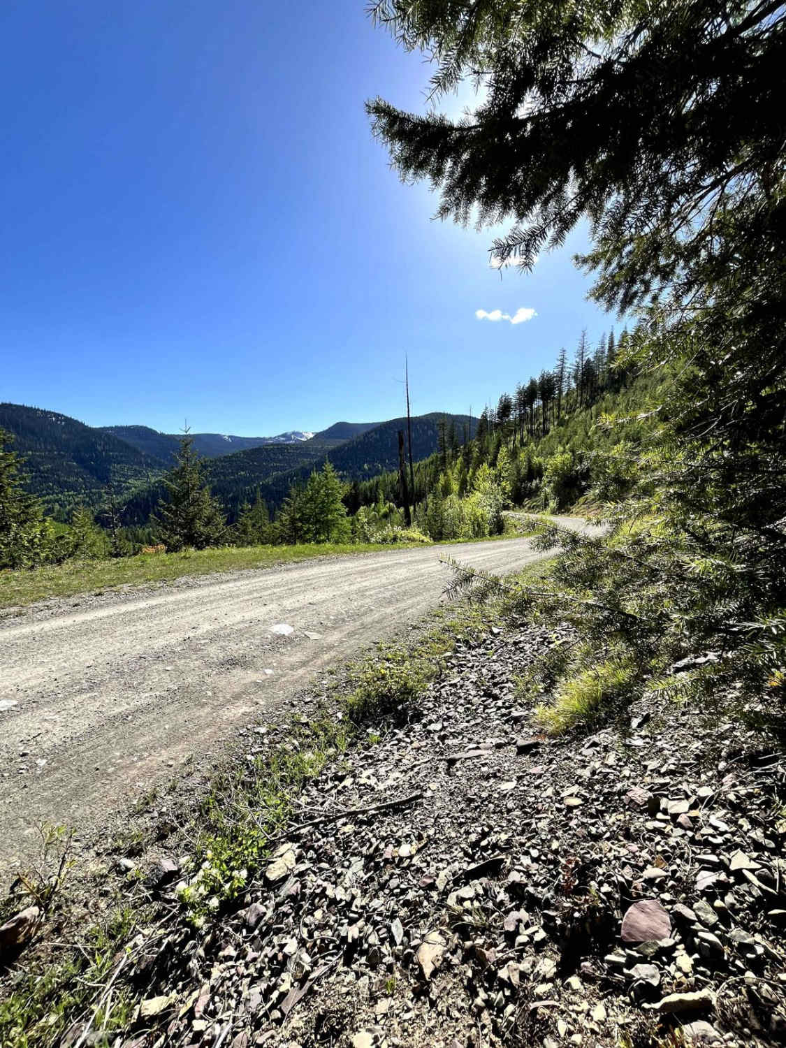 Hallowat Creek North - NF315