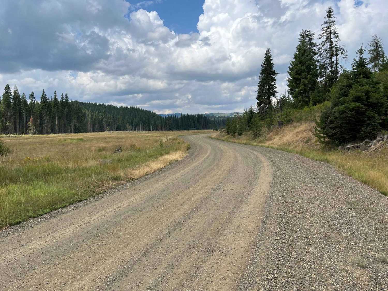 Big Creek Road - FS 370