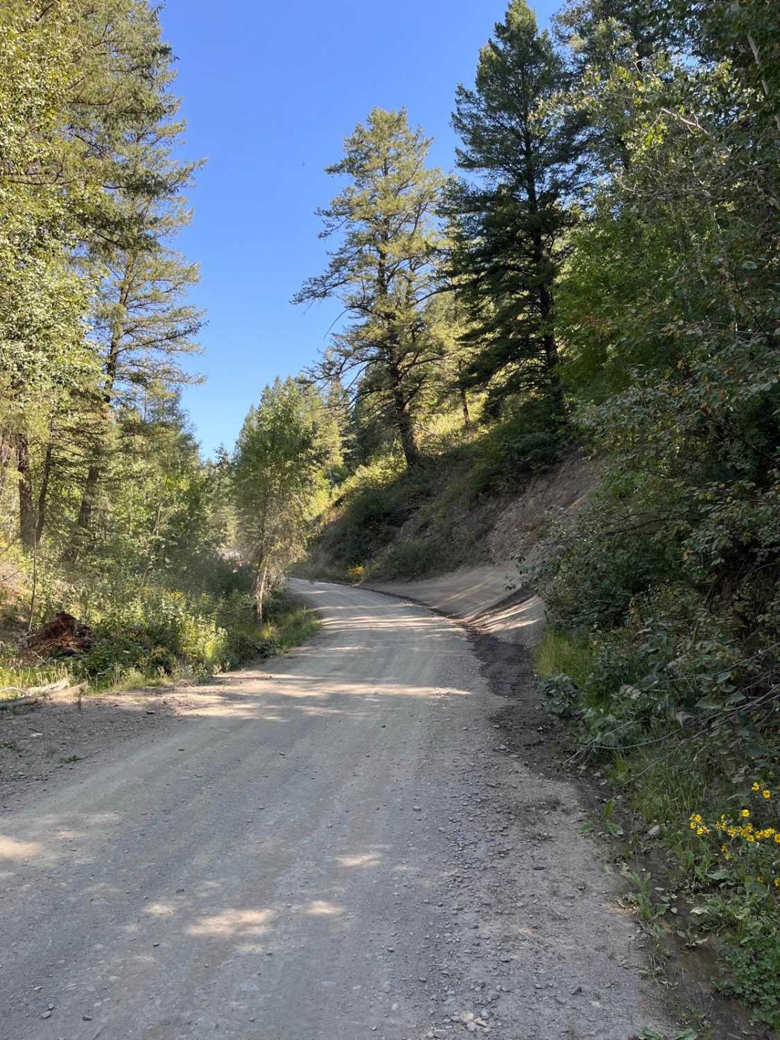 Inman Canyon-Big Springs