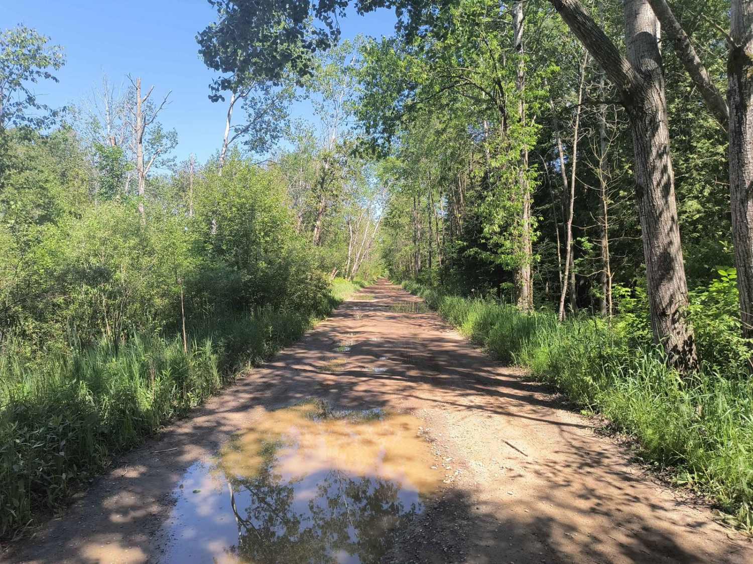 County Line and 60th