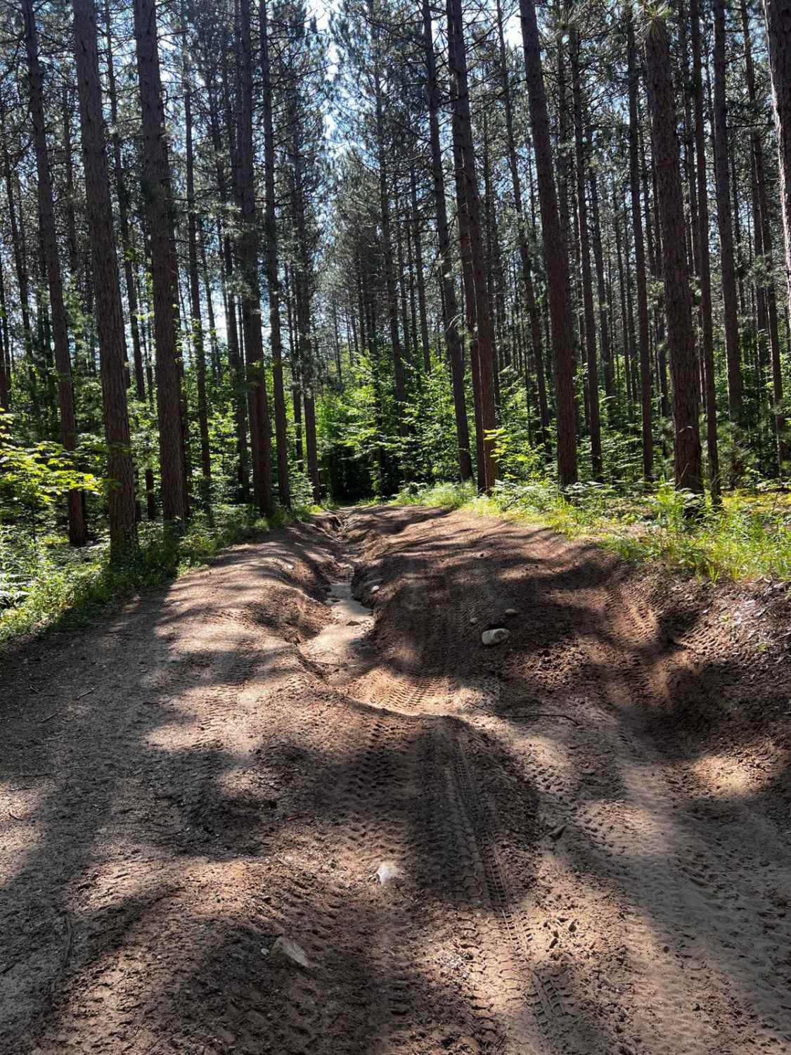 37 Trail