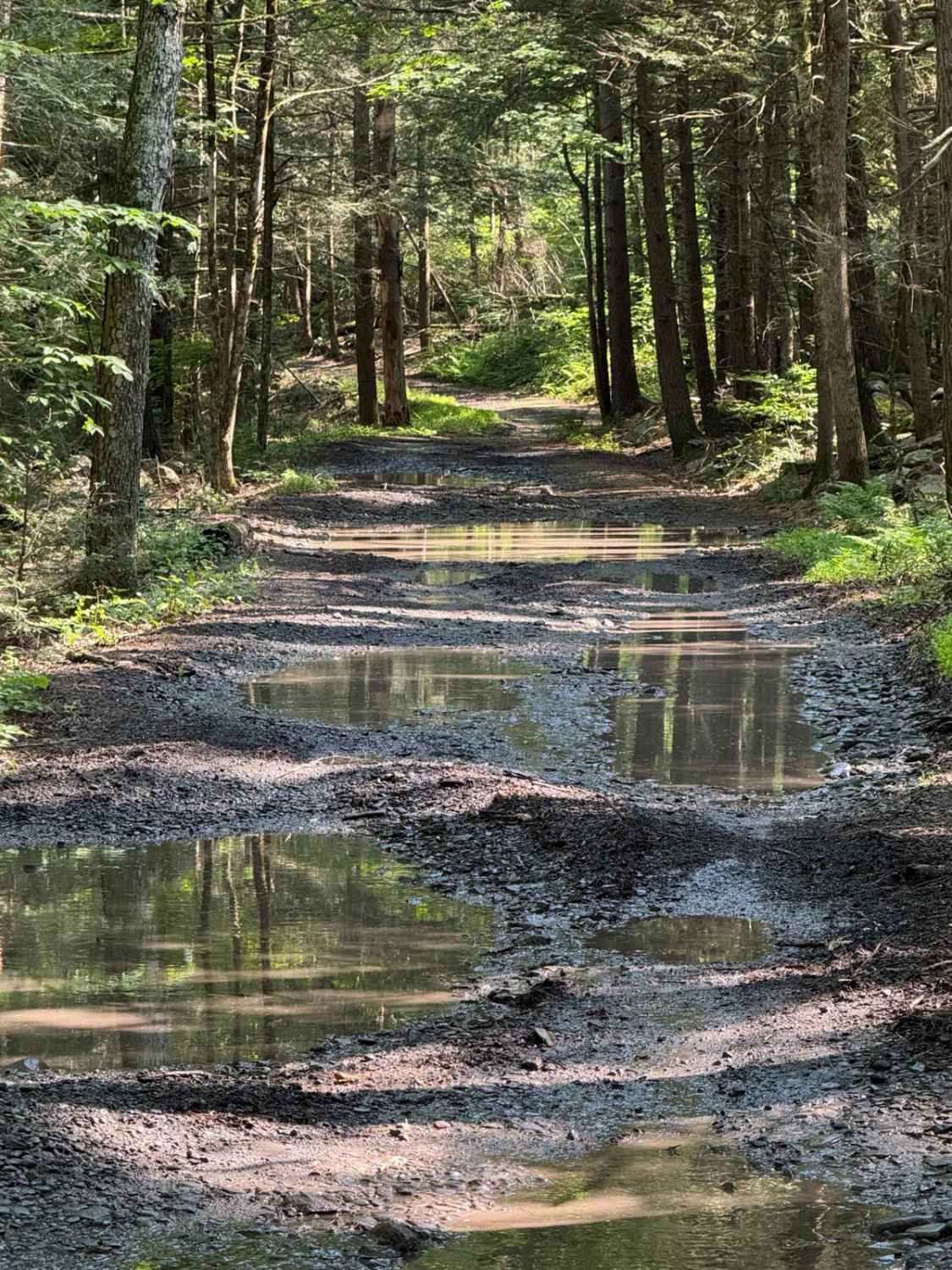 Lundy Road