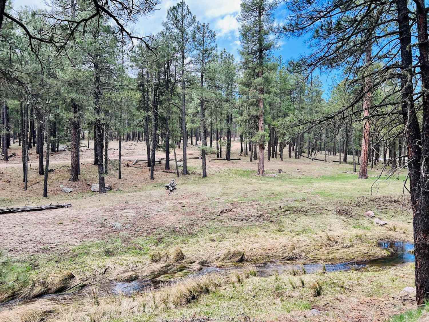 Potato Lake Rim Road